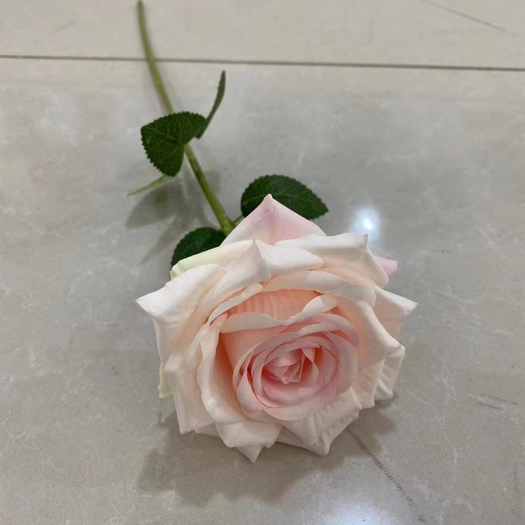 单支玫瑰浅粉