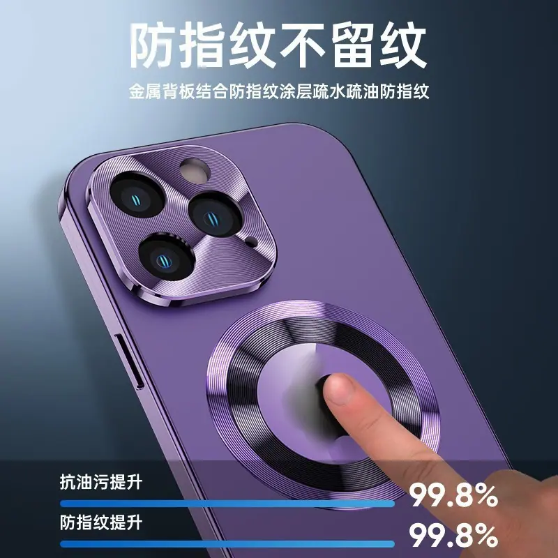 481 (2)