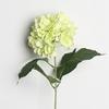 Flor artificial Flor falsa de alta qualidade Acabado Multicolor Grande hortênsia Decoração de casa de casamento Decorativo Flor Tiro Projeto Buquê de flores