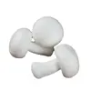 Al por mayor personalizado Modelo de Agaricus Bisporus simulado Champiñón Pleurotus Eryngii Champiñón Accesorios para fotografía Preescolar Materiales didácticos cognitivos