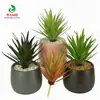 Comercio Exterior Protección Ambiental Transfronteriza Simulación Plantas Suculentas Flores Artificiales Falsas Plantas Verdes de Plástico Decoración del Hogar Adornos de Escritorio