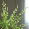Flor de imitación 5 cabezas hierba ryang decoración nórdica para el hogar planta falsa ramo de novia al por mayor adornos florales falsos