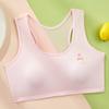 Algodão Respirável Roupa Íntima Esportiva para Meninas Copo Fixo de Desenvolvimento Sutiã I-Shown para Ensino Fundamental e Médio Camiseta para Mulheres