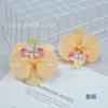 Filme de flor artificial Phalaenopsis tamanho pequeno impressão 3D cabeça de flor Phalaenopsis flor artificial acessórios de caixa de flores presente para as mãos