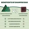 Jabón de Barra de Champú Herbal de Hoja de Platycladus Orientalis y Usman para Limpieza del Cabello, Hidratación, Control de Grasa, Anti-Sequedad y Mejora del Frizz, para Comercio Exterior y Ventas Transfronterizas
