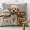Fundas de Almohada de Gato Más Vendidas en Temu, Fundas de Almohada de Animales Lindas y Divertidas, Fundas de Cojín Decorativas para Dormitorio Hogar Sofá Venta al por Mayor