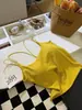 Camisole de Alça Dupla Estilo Novo Puro Desejo para Mulheres, Camada Base Sexy com Bojos, Lingerie Costurada com Costas Bonitas para Mulheres