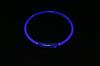 Collar Luminoso para Mascotas para Prevenir Pérdidas, Collar con Luz LED, Collar Intermitente para Perros, Collar para Paseos Nocturnos de Perros, Brilla en la Oscuridad, Paseos Nocturnos, Antiperdida
