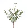 Flor Artificial Nórdica Eucalipto Sala de Estar Dormitorio Adornos Florales Hoja de Dinero Boda Boda Ramo de Flores para Sostener la Novia