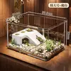 Nuevo terrario acuático anfíbio 2026 con plataforma para trepar, pecera ecológica para tortugas pequeñas, dedicado para uso doméstico, acuario de escritorio