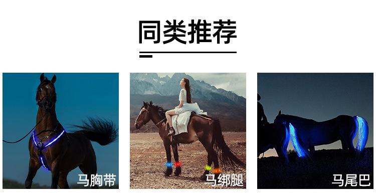 K4002-LED绳绣马脖 (13).jpg?x-oss-process=image/format,png