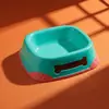 Tigela para animais de estimação Nnbell na cor Dopamina, colorida, antiderrapante, anti-tombamento, tigela dupla integrada para água e comida, grande capacidade para gatos