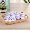 Bolinhas de Naftalina Autênticas para Guarda-Roupa, à Prova de Mofo, Insetos e Odores, Bolas de Higiene Aromáticas à Prova de Insetos, Umidade, Traças e Baratas