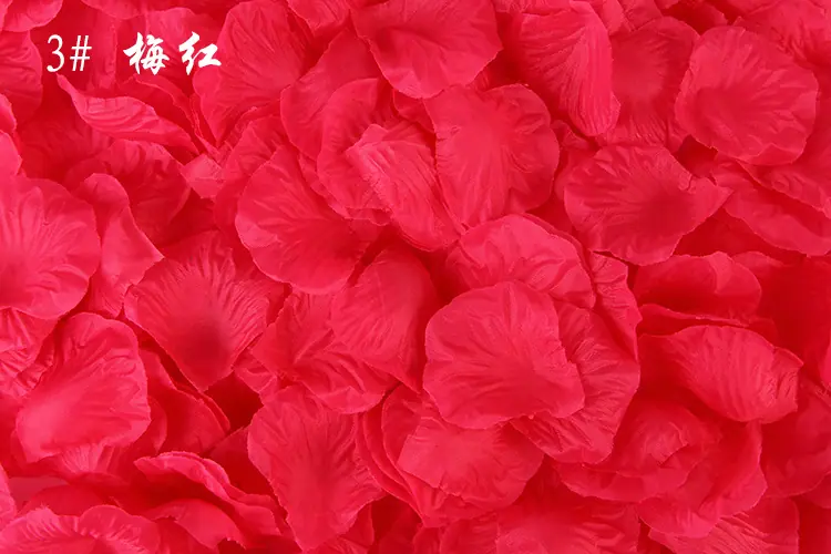 3号梅红