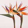 Flores Artificiales de Ave del Paraíso de Alta Calidad, Adornos, Arreglos Florales para el Hogar, Flores Falsas, Flores Decorativas para Sala de Estar, Strelitzia Reginae de Goma Suave al por Mayor