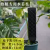Pilar de musgo Sphagnum para pared, nuevo modelo 2026 para plantas tropicales, pilar de soporte para planta trepadora Monstera, se puede empalmar y extender para ajustar el tamaño