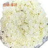 Agita la explosión de sonido 10 mm flor de ciruelo color sólido acrílico esmerilado cuentas accesorios para collar hechos a mano DIY material al por mayor