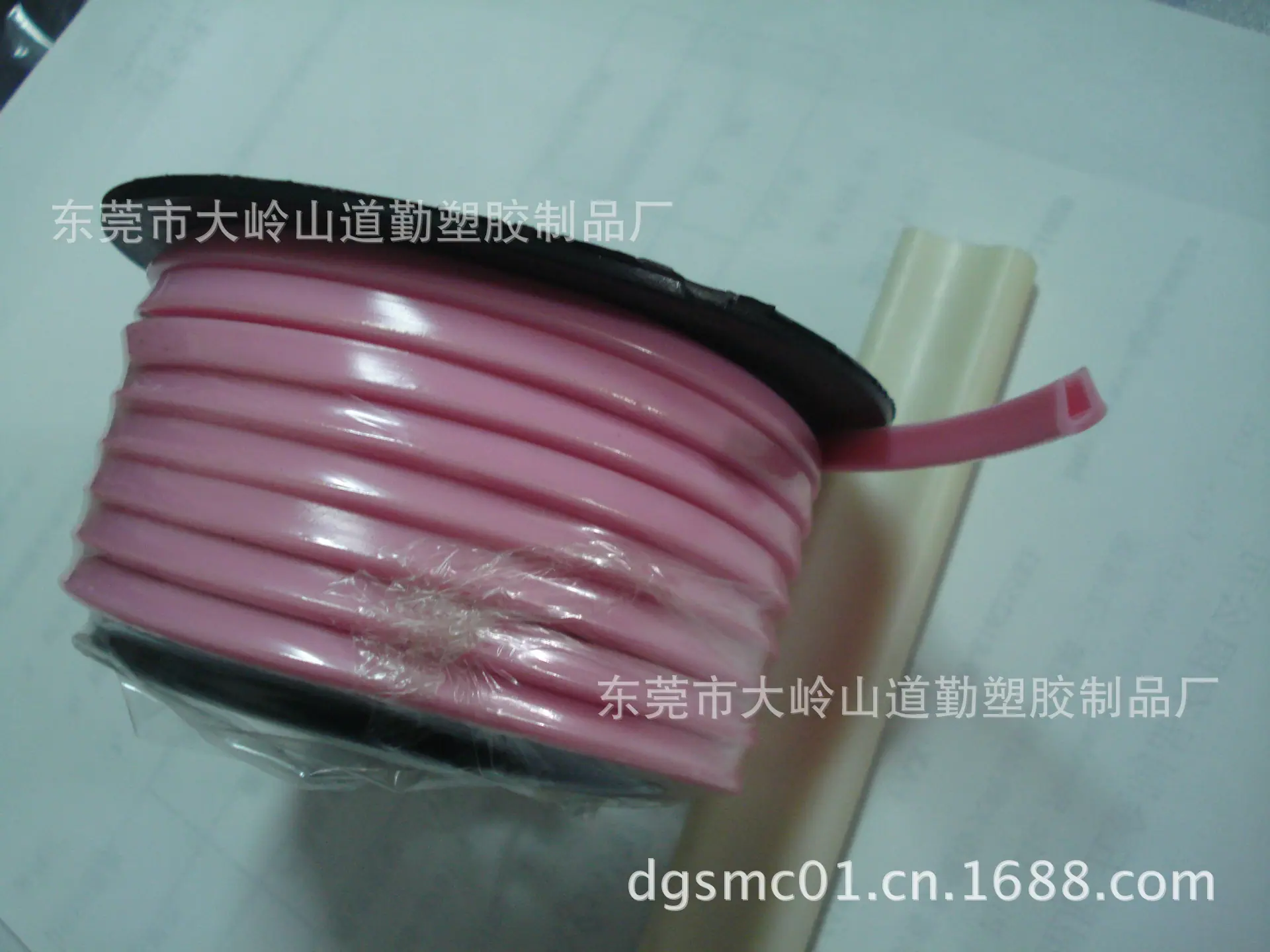 DSC04576