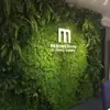 Pared de Fondo Decorativa de Enverdecimiento Vertical Césped Biónico Pared de Imagen Flor de Rosa Planta de Enverdecimiento Rosa Pared Vegetal Artificial Verde Planta