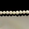 Pulsera de Perlas de Agua Dulce Natural Diseño de Nicho Simple Versátil Ins Tendencia Estilo Casual Modelo para Mujer Directo del Fabricante