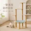 Venta al por mayor y dropshipping de estructuras para trepar gatos de comercio exterior, camas para gatos, árboles para gatos, todo en uno, apto para todas las estaciones, con cápsulas de doble espacio y juguetes para gatos