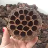 Envío gratis flores secas, frutas secas, cáscaras de nuez, piñas decoración hecho a mano DIY materias primas naturales bosque de Navidad aromaterapia recuerdos