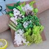 Día de la Madre Flor Eterna A5 Paquete de Material de Tablero de Flores en Relieve Marco de Fotos DIY Abanico Sombrero de Paja Material de Flores Flores Secas