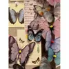 Adesivo de Parede Personalizado Borboleta de Batata Doce Vermelha Painel de Feltro Parede de Fotos Mural de Mensagens Quadro de Cortiça Decoração de Parede de Fundo para Entrada de Quarto