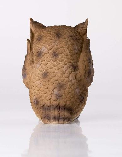 微信截图_20240121130052