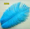 Pluma de Avestruz Decoración de Boda Accesorios para Ropa Accesorios de Actuación Adornos de Plumas DIY 20-25cm