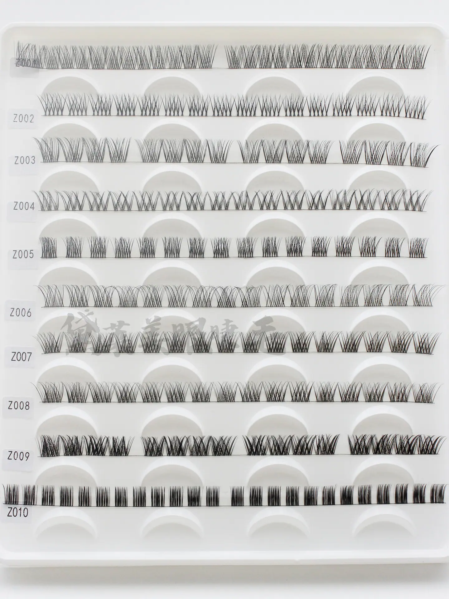 2-dlm