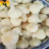 Ajo encurtido auténtico agridulce, Ajo marinado agridulce, Ajo dulce, Ajo encurtido, Ajo Laba, Encurtidos, Comida para acompañamientos de comidas