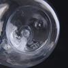Botella de bebida desechable de 450 ml para celebridades de Internet, botella cilíndrica de plástico PET, botella de agua mineral de plástico transparente de grado alimenticio