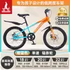 Bicicleta Infantil Phoenix para Niñas de 6-12-15 Años, Adolescentes, Niños Mayores, Bicicleta de Montaña con Cambios para Estudiantes