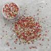 Ins New Cyber Celebridade Gravel Bead Storm Shell Nail Jewelry Mica Candy Series Nail Art Material Bag