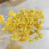Flor de montanha pequena buquê de flores secas decoração luz luxo high-end diy material real flor air-dried importado espécime material de flor