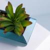 Fornecimento direto da fábrica flor artificial personalizada mini planta suculenta com bacia quadrado azul personalidade luxo leve decorações para casa
