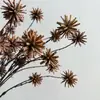 Bagas Artificiais de Azevinho de Alta Qualidade, Itens Decorativos Estilo Zen, Frutas Festivas, Design Floral para Sala de Amostras, Adereços para Fotografia de Negócios