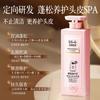 Beauty Road Champú Popular de Coco Control de Aroma y Aceite Anticaspa Fragancia Duradera Gel de Ducha Genuino Venta al por Mayor