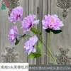 Hibisco Peônia de Galhos Altos com 5 Cabeças, Flor de Macieira Ornamental, Arranjo de Flores de Seda no Local do Evento da Cerimônia, Posicionamento de Flores Artificiais para Adereços de Fotografia