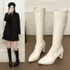 Botas femininas de couro europeias e americanas, afuniladas, bico fino, cano alto longo, com salto grosso para outono e inverno, tecido bege