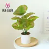 Flores Artificiais, Folhas de Plantas Artificiais, Bonsai Grande, Pequenos Enfeites Criativos para Interior, Plantas Verdes Artificiais, Plantas em Vasos, Amazon