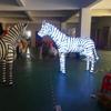 Luces de Estilo para Exteriores LED Caballo Colorido Animal Punto Escénico 2020 Proyecto de Iluminación de Parque Luces de Estilo Pegamento Navideño