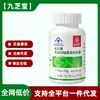 Cápsulas de Té con Polifenoles y L-Carnitina Marca Changxing Jiuzhitang 40 Cápsulas Eliminación de Grasa Moldeado Corporal Entrega de Cabello Sin Rastro Envío Sf Z
