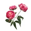 Flores artificiales de hibisco y peonía, flores artificiales para decoración del hogar, peonías para decoración de interiores, peonías artificiales para arreglos florales