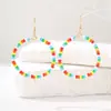 Pendientes de Cuentas de Arroz Coloridas Dopamina de Nuevo Otoño e Invierno Transfronterizos para Mujer Estilo Bohemio de Venta Caliente Europea y Americana Tendencia de Pendientes Personalizados