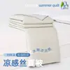 Colcha de Aire Acondicionado Antibacteriana de Enfriamiento de Doble Cara de Clase Alta Seda de Hielo Colcha Refrescante de Verano Núcleo de Colcha Lavable a Máquina Colcha Fina de Verano