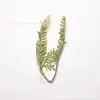 Promoção quente Temu planta verde artificial samambaia 2 galhos plantas aquáticas DIY guirlanda feita à mão chapéu acessórios de flor decorativa material