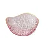 Estilo Moderno Transparente Frutero Alto Valor Bocadillos Plástico Fruta Seca Plato de Exhibición Patrón de Doble Círculo Borde Dorado Bandeja de Almacenamiento
