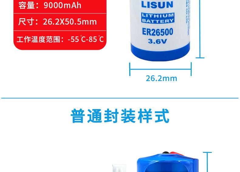 ER26500_06.jpg